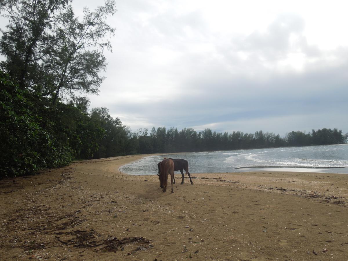 Koh Thmei Resort Phumi Kang Keng Zewnętrze zdjęcie